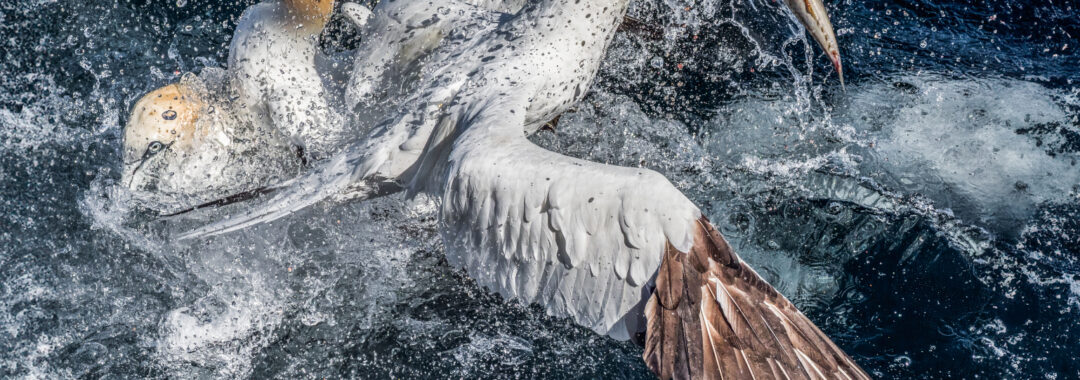 Print 2023-24 R2 1st